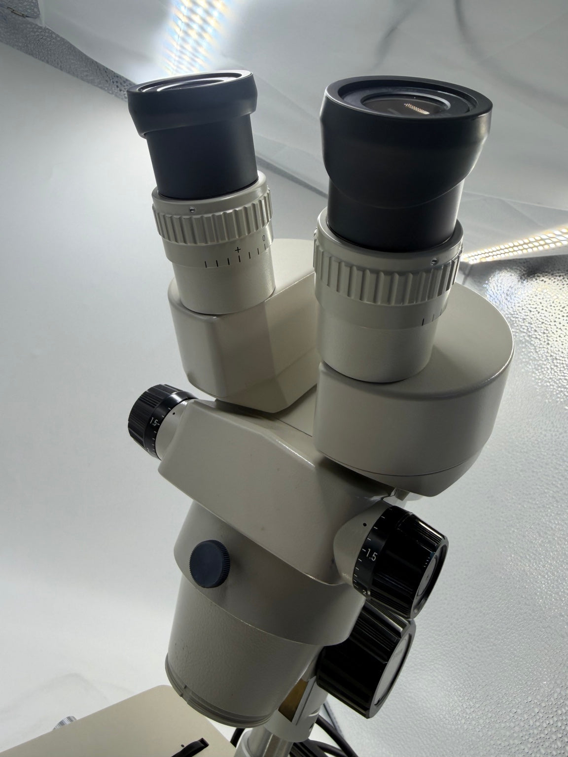 Nikon stereo microscope detail